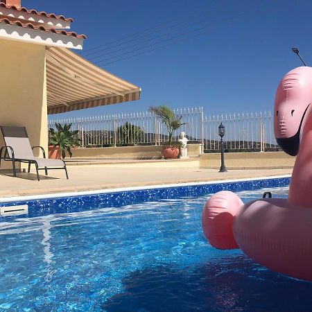 Peyia Palm Villa Pafos Dış mekan fotoğraf