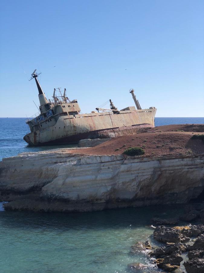 Peyia Palm Villa Pafos Dış mekan fotoğraf