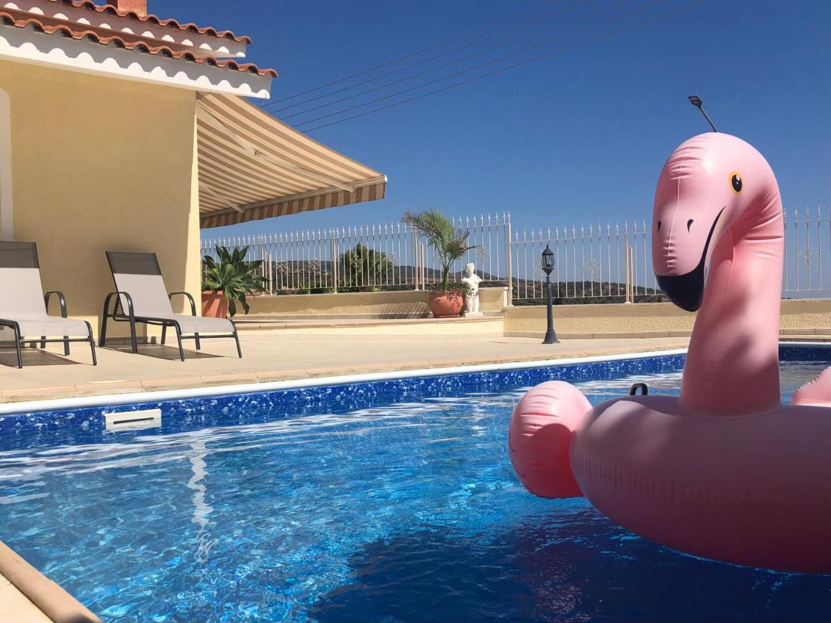 Peyia Palm Villa Pafos Dış mekan fotoğraf